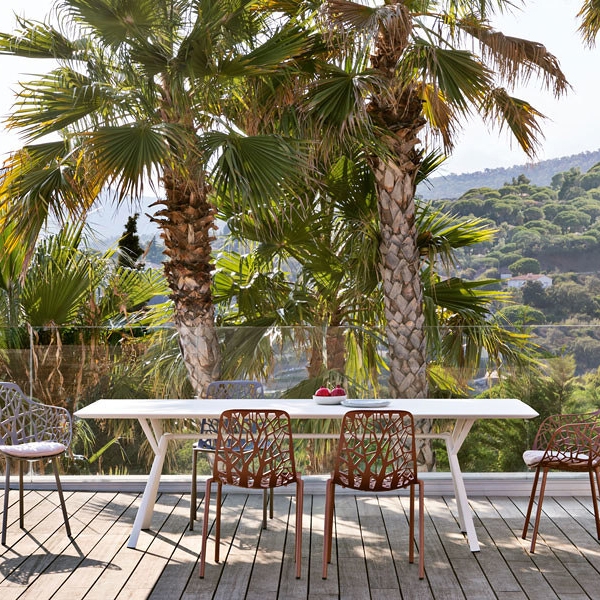 Read story The Nature of Design: Fast