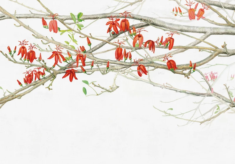 Bursts of fiery-red blossoms define the eye-catching Mata Pau wallpaper design, pictured here bringing character to a neutral retail space