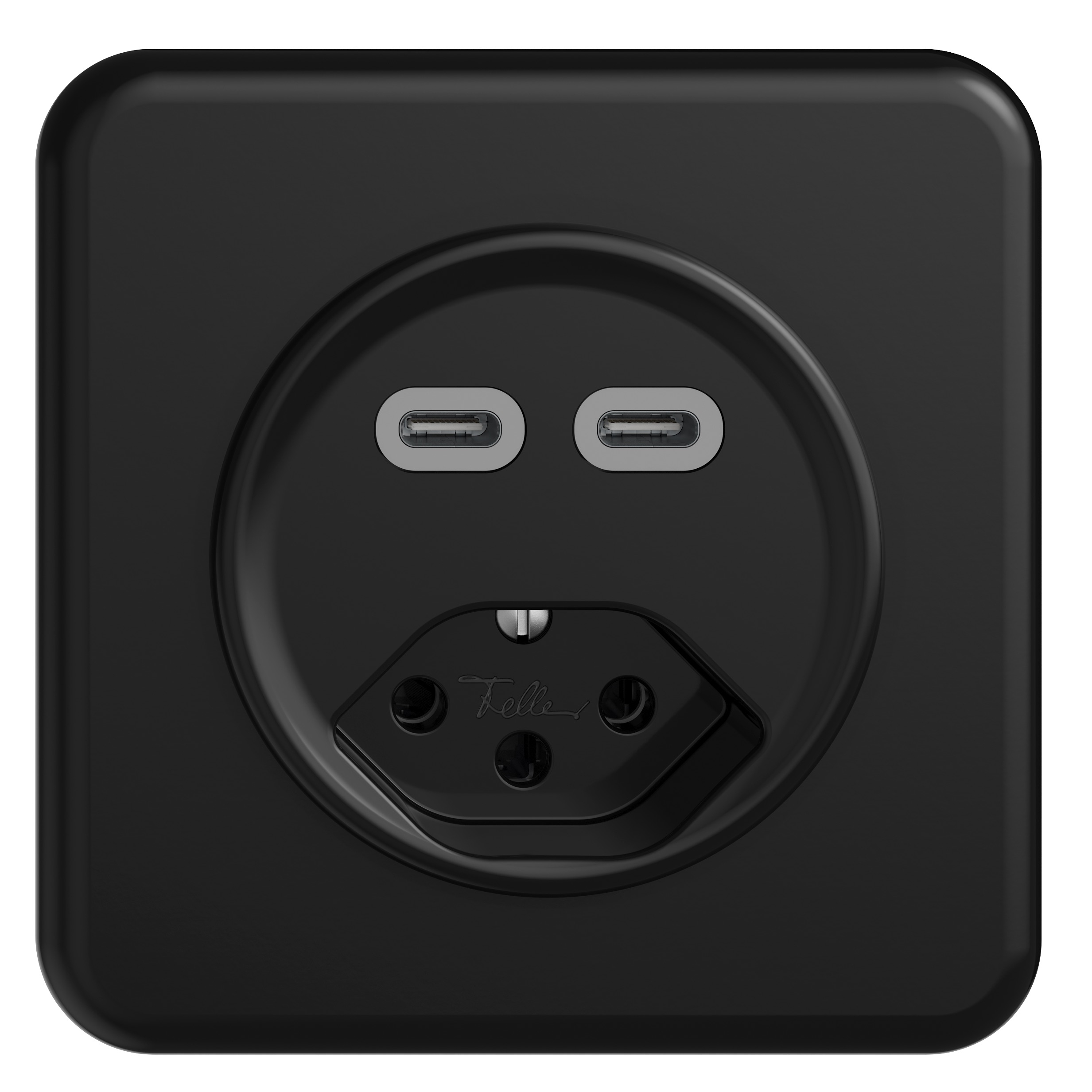 Signs of the future: The USB charging sockets are also available with two USB-C ports, shown here the STANDARDdue design