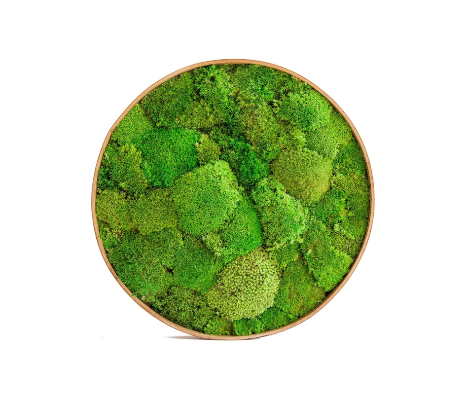 Above: Plexwood Acoustic by Plexwood sandwich. Middle: Indoor Vertical Garden by Greenworks. Below: Round Moss Pictures by Ekomoss