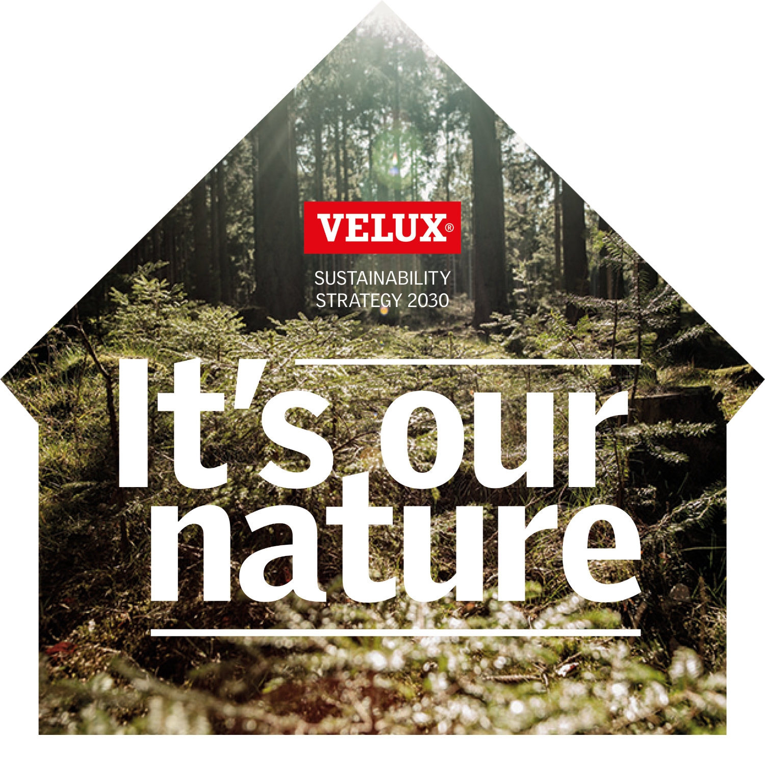 Read story A ten-year sustainability strategy from VELUX Group