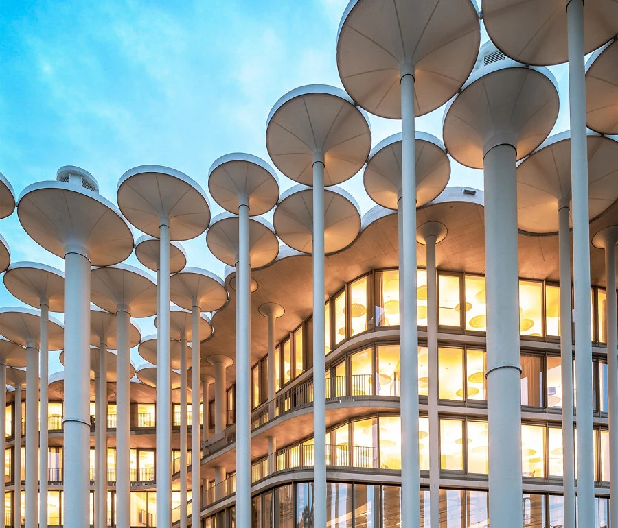SAB Leipzig: Architectural firm acme used 159 columns for the project. While symbolically stabilising the bank, the columns also provide drainage for the roof. Concept and realisation: Deutsche Werkstätten. Photos: Strohhut Pictures, Leipzig