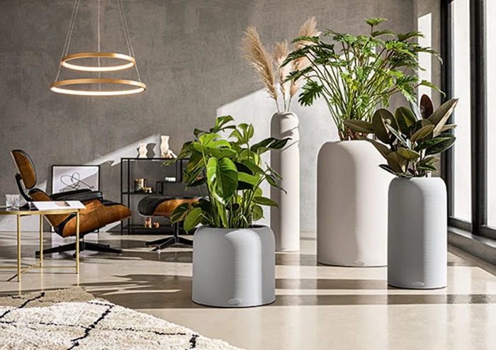Go big or go home: HAVALO by LECHUZA convinces with simplicity, precision and dimension – and an original LECHUZA irrigation system is included with the planter series