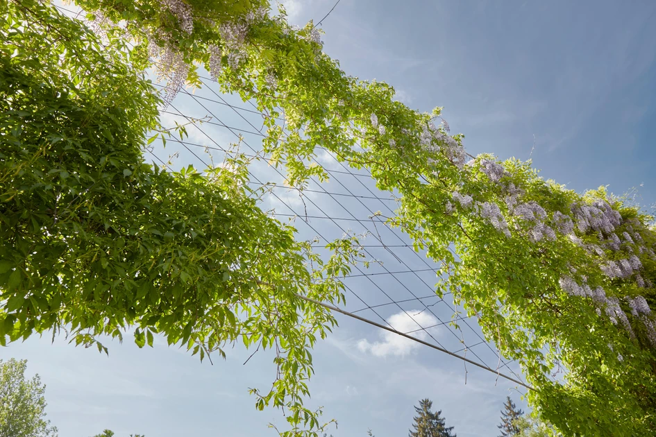 Die von Amandus VanQuaille für The Nomad Concept entworfene Segelskulptur von Sefar (oben) oder wachsende Seilspaliere wie das Drahtseilnetz von Jakob (unten) können dauerhaft befestigten Schatten über grössere Flächen spannen