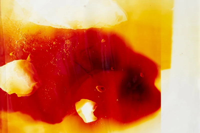 Zu tief ins Glas geschaut oder doch nur zu lange auf den Art Curtain des Schweizer Künstlers Douglas Mandry? In der DAAily Bar treffen von der Natur inspirierte Kunst und Blumenarrangements auf Produktdesign und spannende Persönlichkeiten