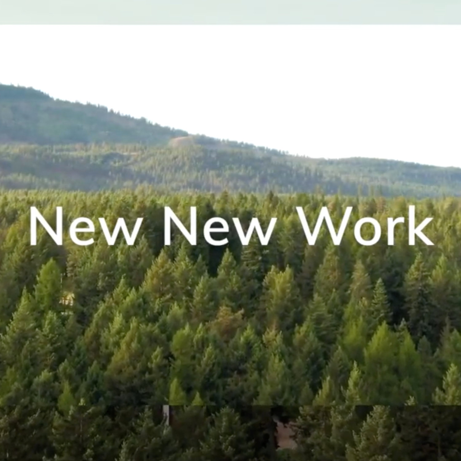 Lees storie New new work: What will the future of our working world look like?
