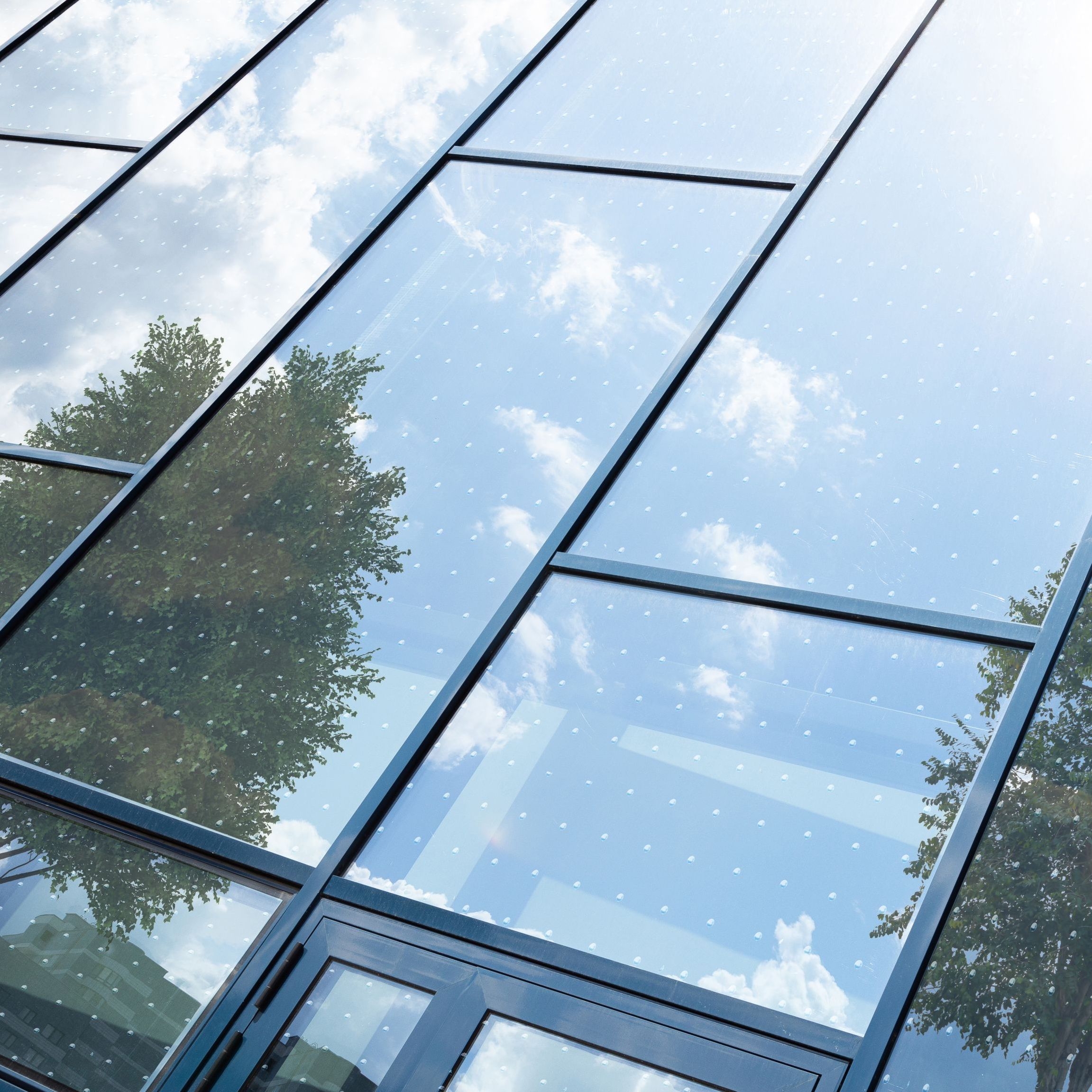 Leggi la storia Making windows bird friendly with Saflex® FlySafe™ 3D