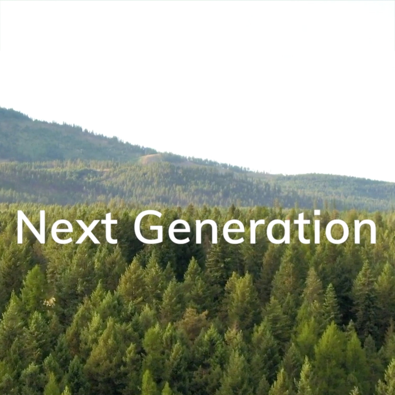 Lees storie Next Generation – Corporate change in family businesses