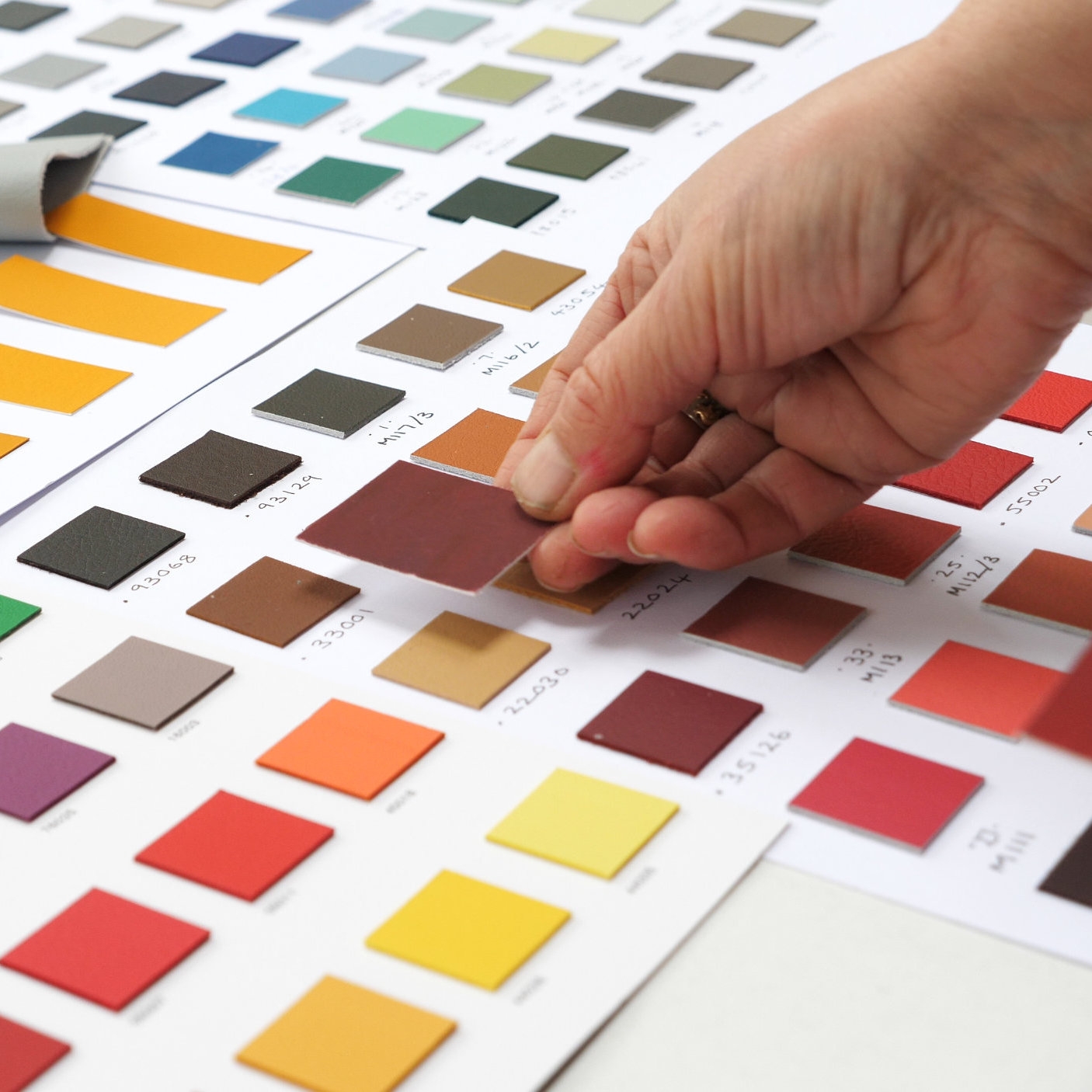 Read story Elmo: a leather library of colours