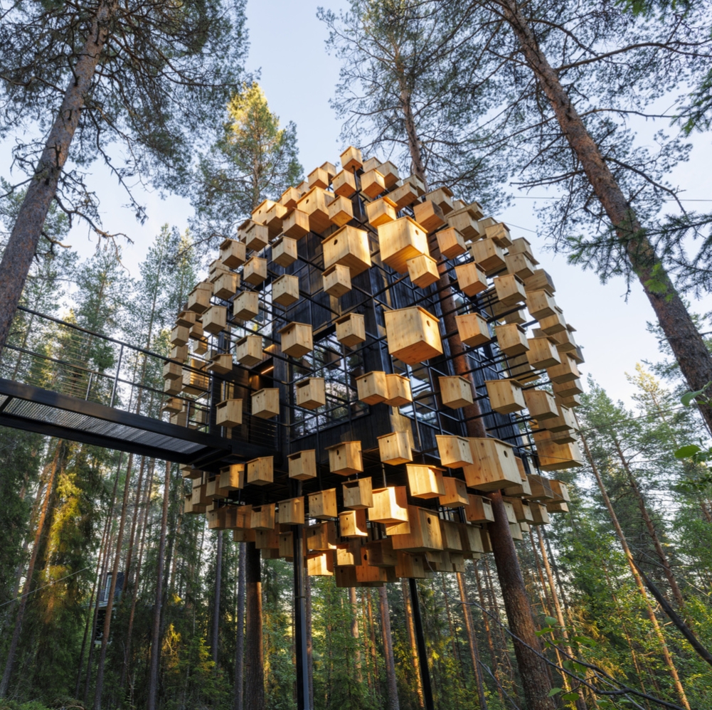 Lees storie Cabins that reconnect humanity to the planet