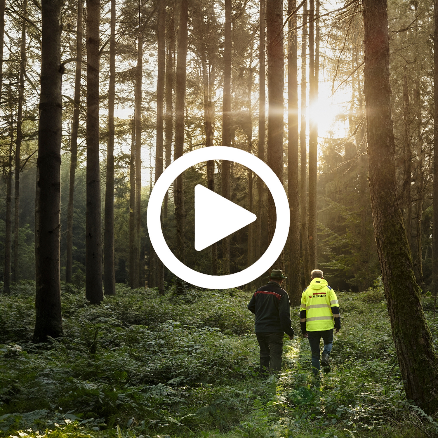 Read story How is EGGER protecting and preserving the future?