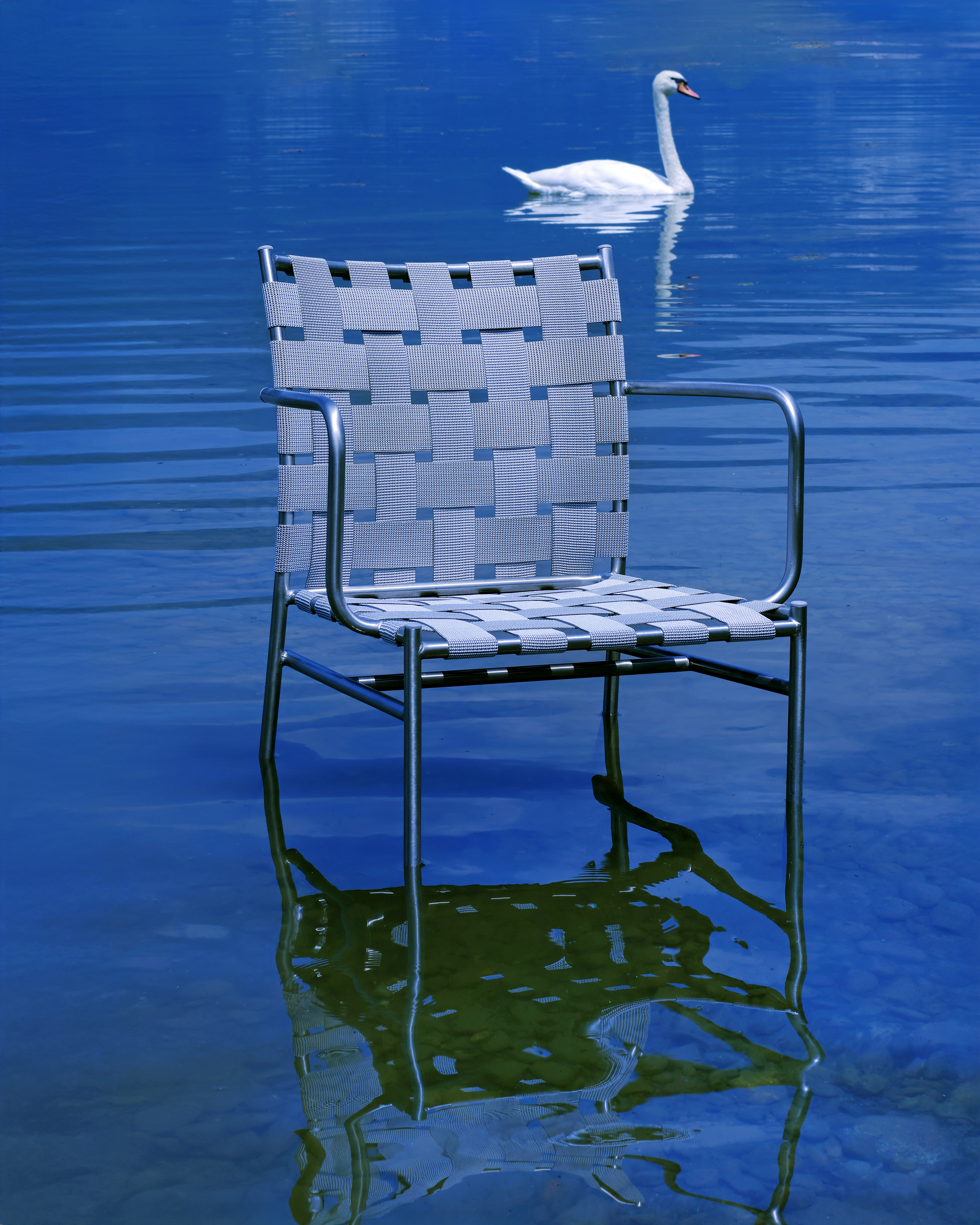 Leggi la storia Alias presenta “Voices from the lake”, progetto fotografico  Sara Scanderebech 