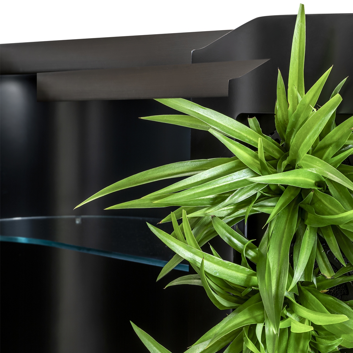 Read story When design learns to breathe