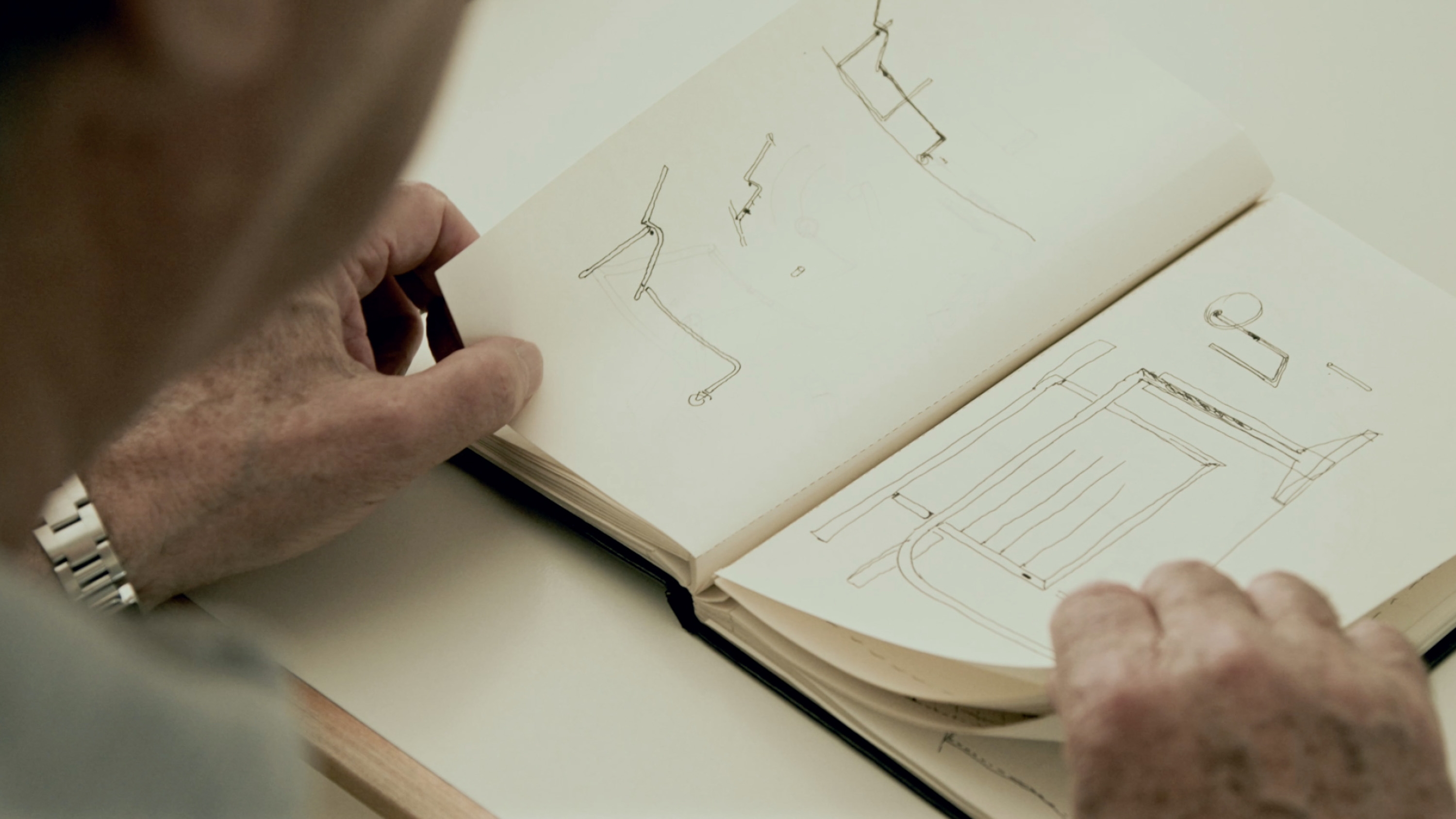 Leer la historia En los orígenes del proyecto: Ginger