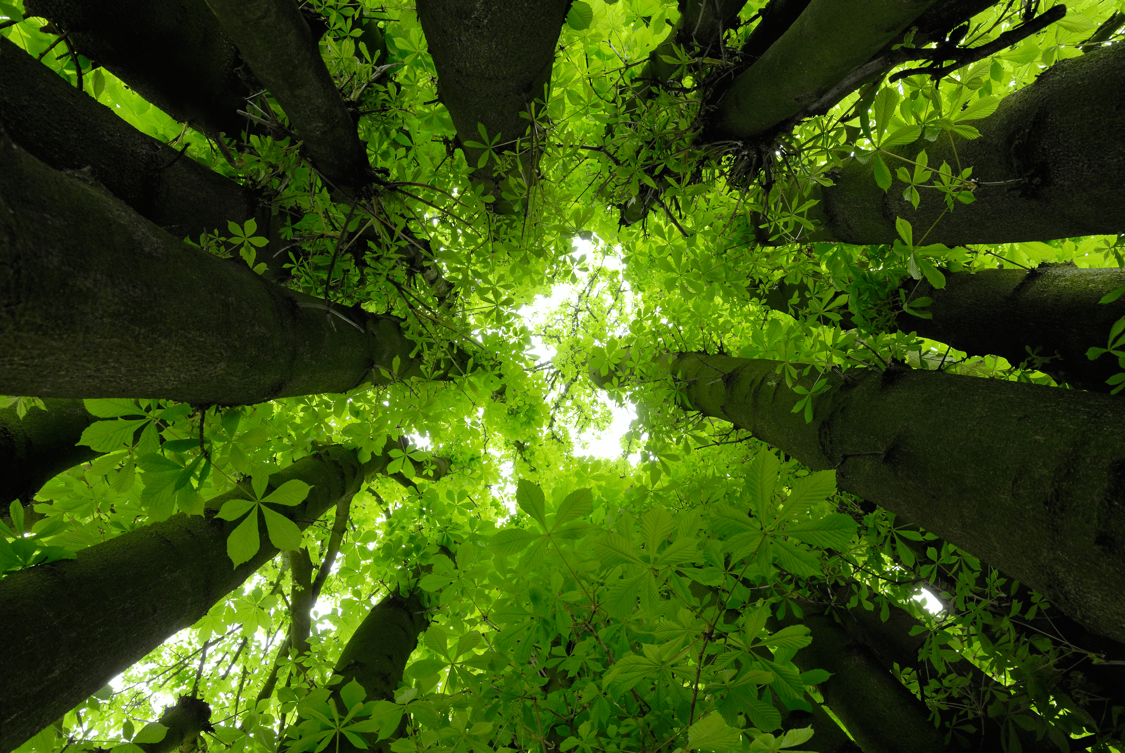 Erfahre mehr über die Geschichte Sustainability in the acoustics industry requires going beyond what sounds good