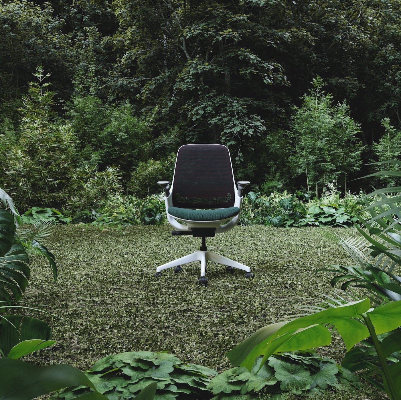 Lire l’histoire Climate consciousness