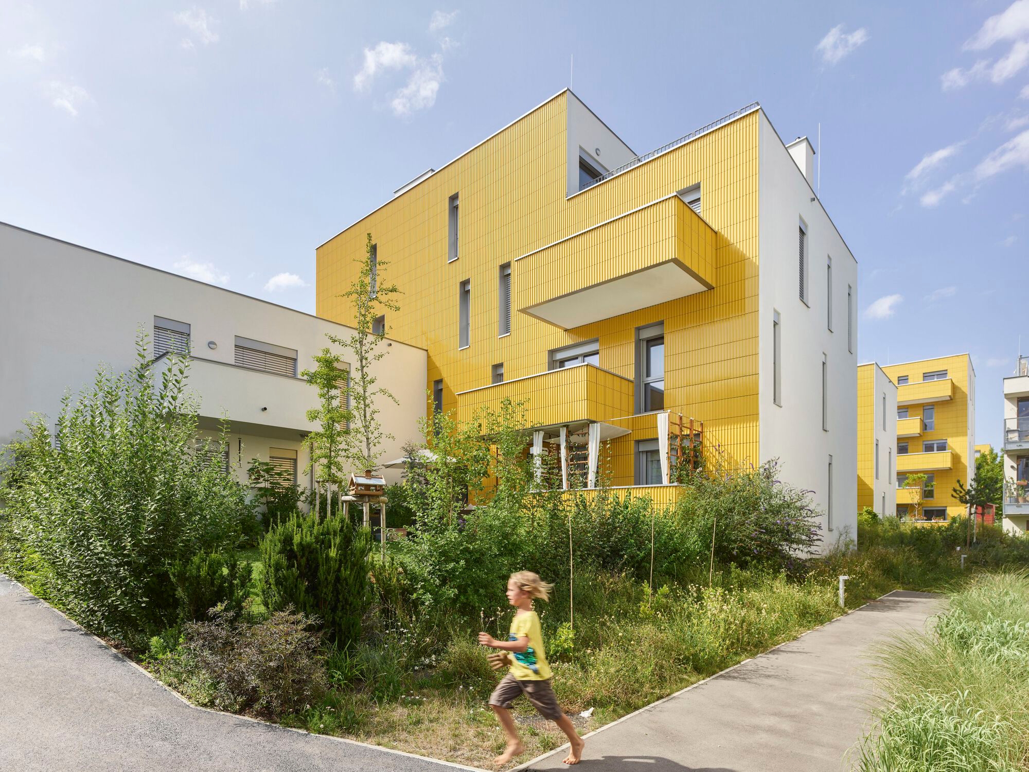 The Sunflower Houses in Vienna dress in yellow ceramic tiles on their south sides and arrange a network of accompanying wild green courtyards towards the sun, too. Photo: Kurt Hoerbst