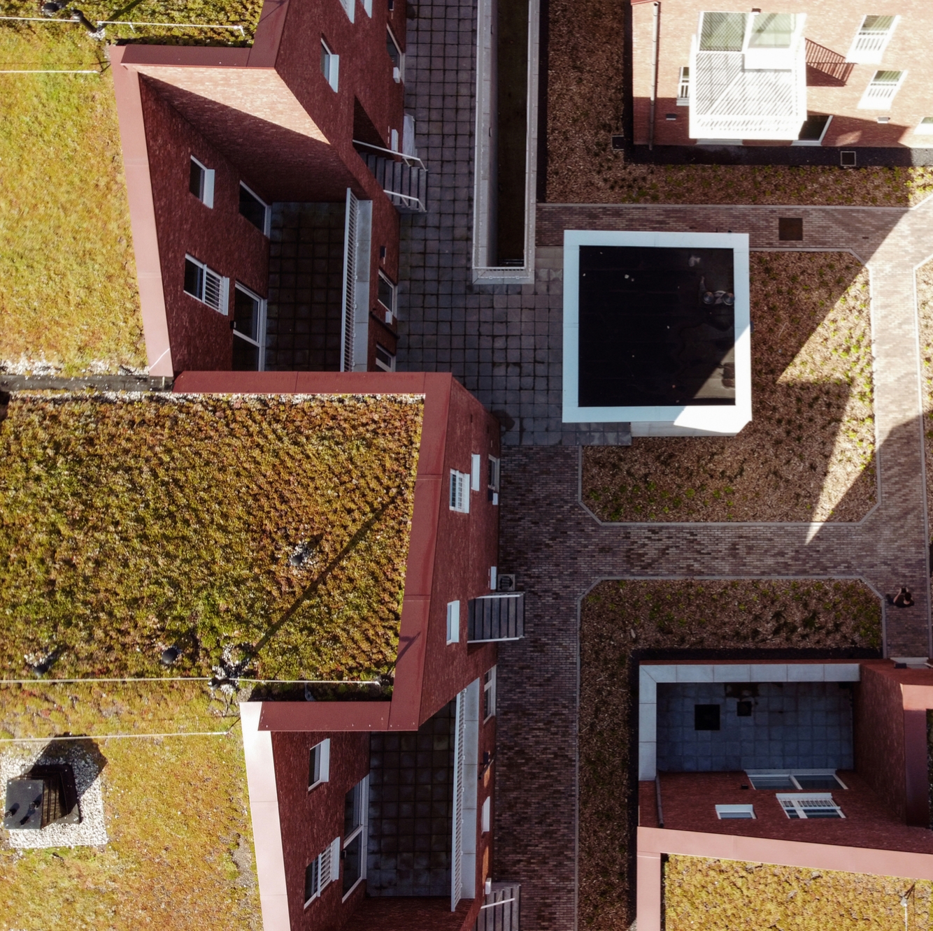 Read story The growing advantages of green roofs: bringing buildings to life