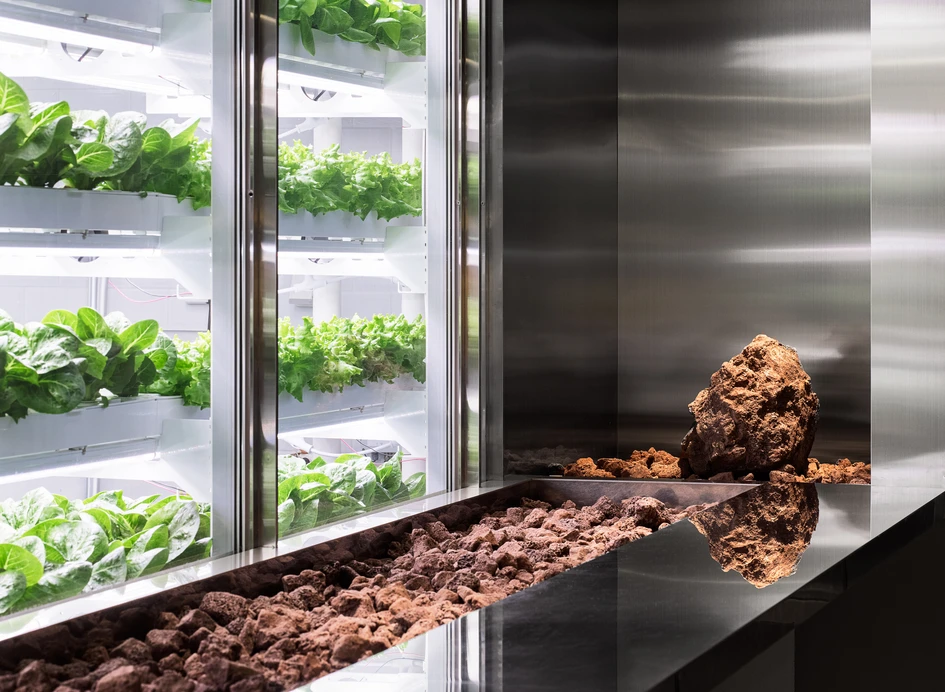 N.THING’s concept vertical farm restaurant, Sik Mul Sung, gives customers the opportunity to experience the full journey of their fresh ingredients firsthand. Photos: Yungjoon Choi