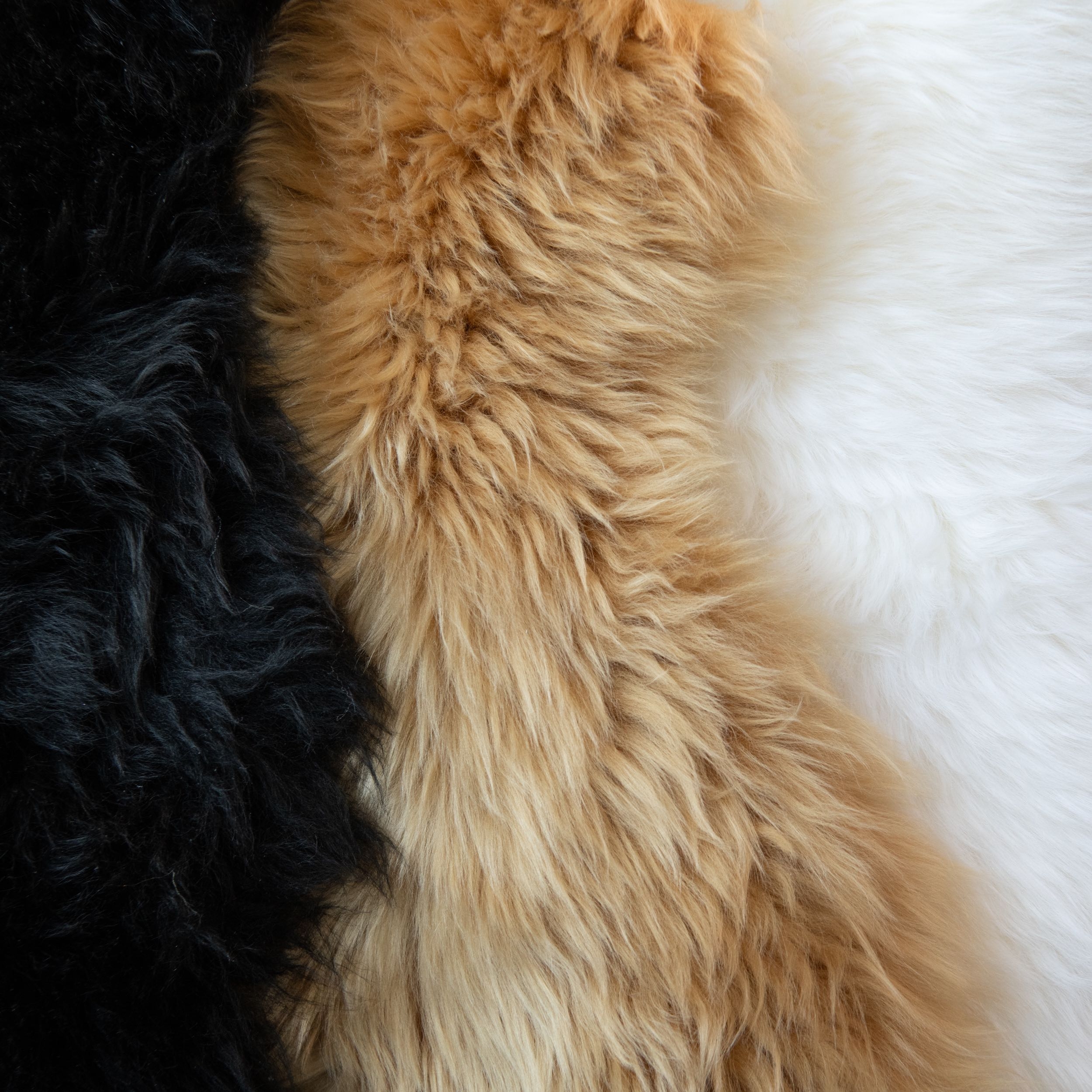 The power of three: the sheepskin used for the seat and back cushions is available in a trio of natural colours