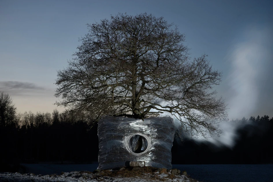 The One Tree Four Seasons project formed an interior space around a tree by weaving deadwood and encircling hay walls and seating around it (top) then wrapped it in plastic to create a natural sauna in Winter (middle, bottom). Photos: Antti Laitinen