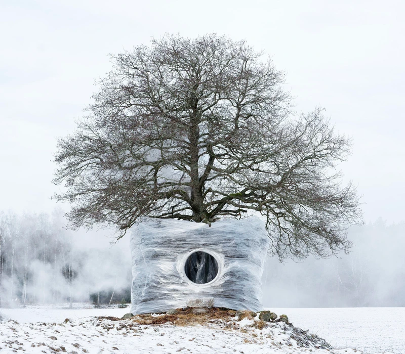 'Sauna escapes that warm up users with natural wellness.' One Tree Four Seasons Installation by Ulf Mejergren and Antti Laitinen. Photo: Antti Laitinen