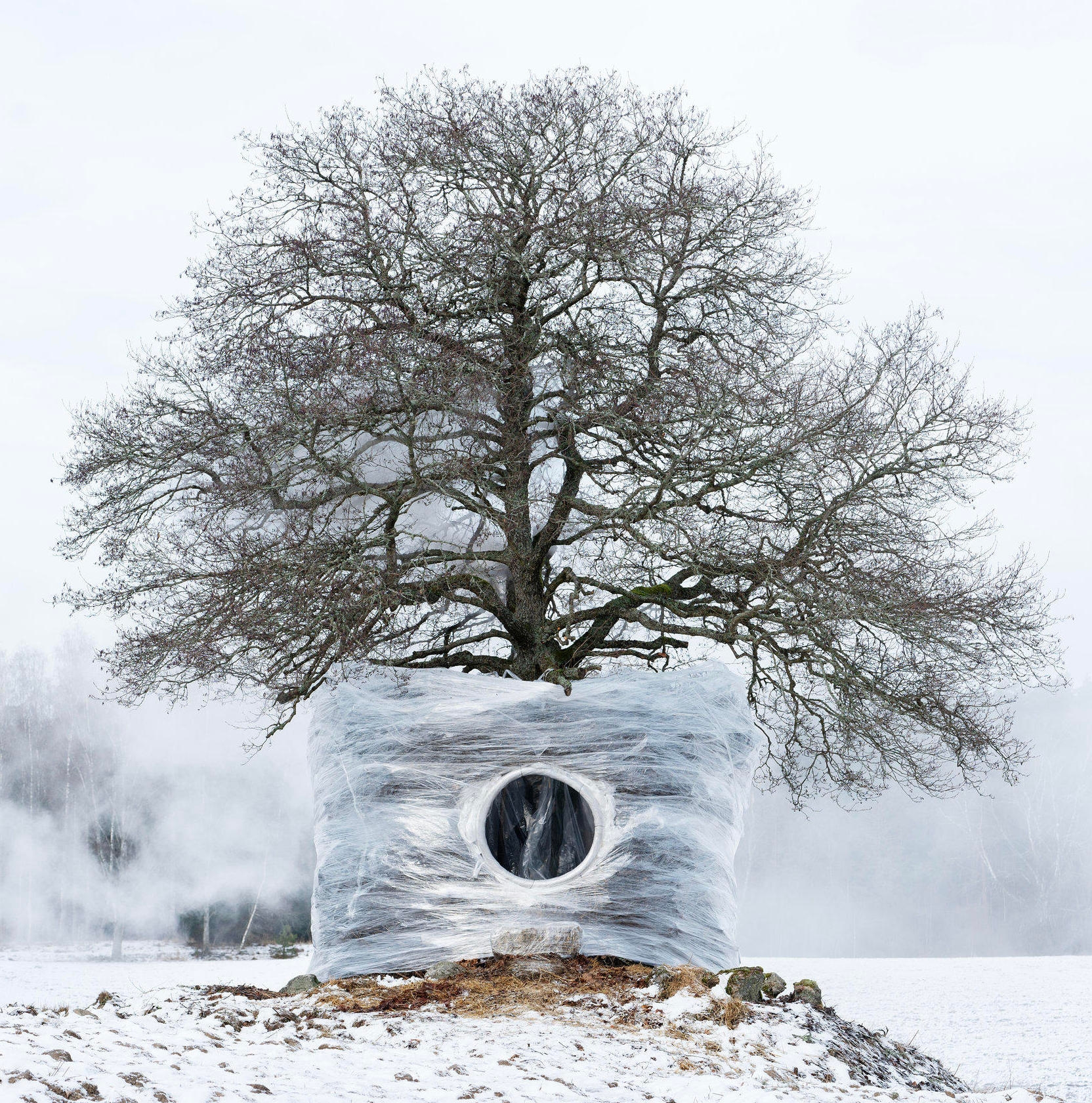 Lire l’histoire Team Picks: the architecture and design stories we loved in October