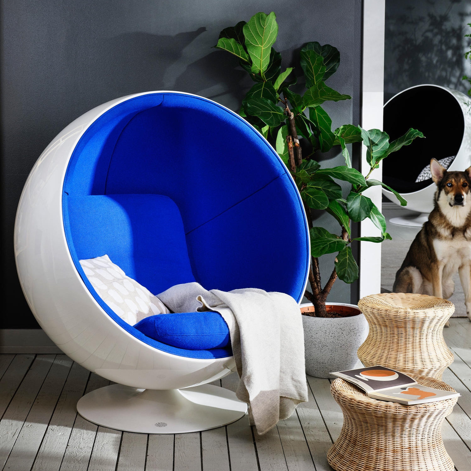 Read story The complex evolution of the iconic egg chair