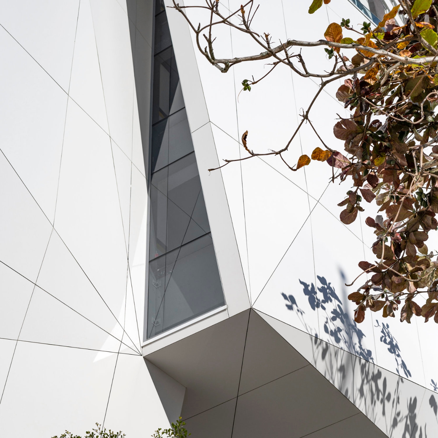 Read story Cosentino's long-living, ultra-compacted surfaces