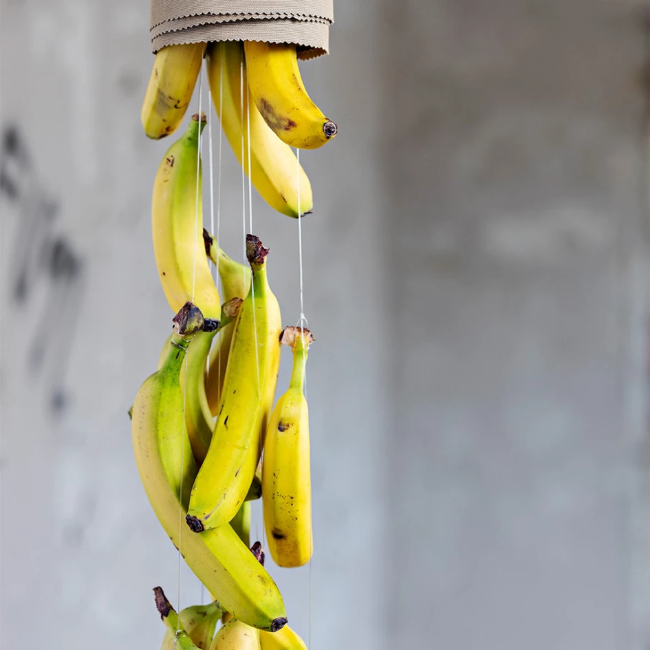 Plant-based: Textiles made from plants and plant by-products. © Bananatex / SPOTT trends & business for Heimtextil