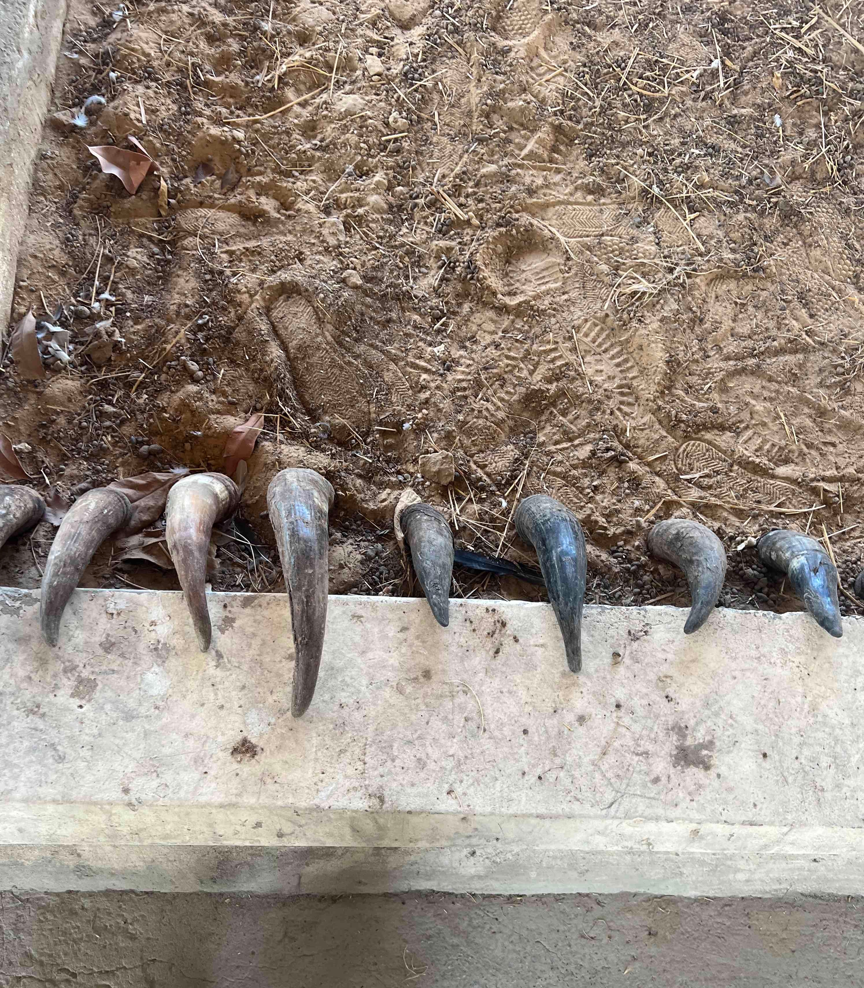 Earth to Earth by Sumaya Dabbagh (Top). Anthropocene Museum by Cave_bureau (Bottom)