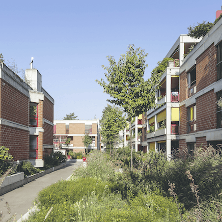 Leer la historia Greening, shading and watering