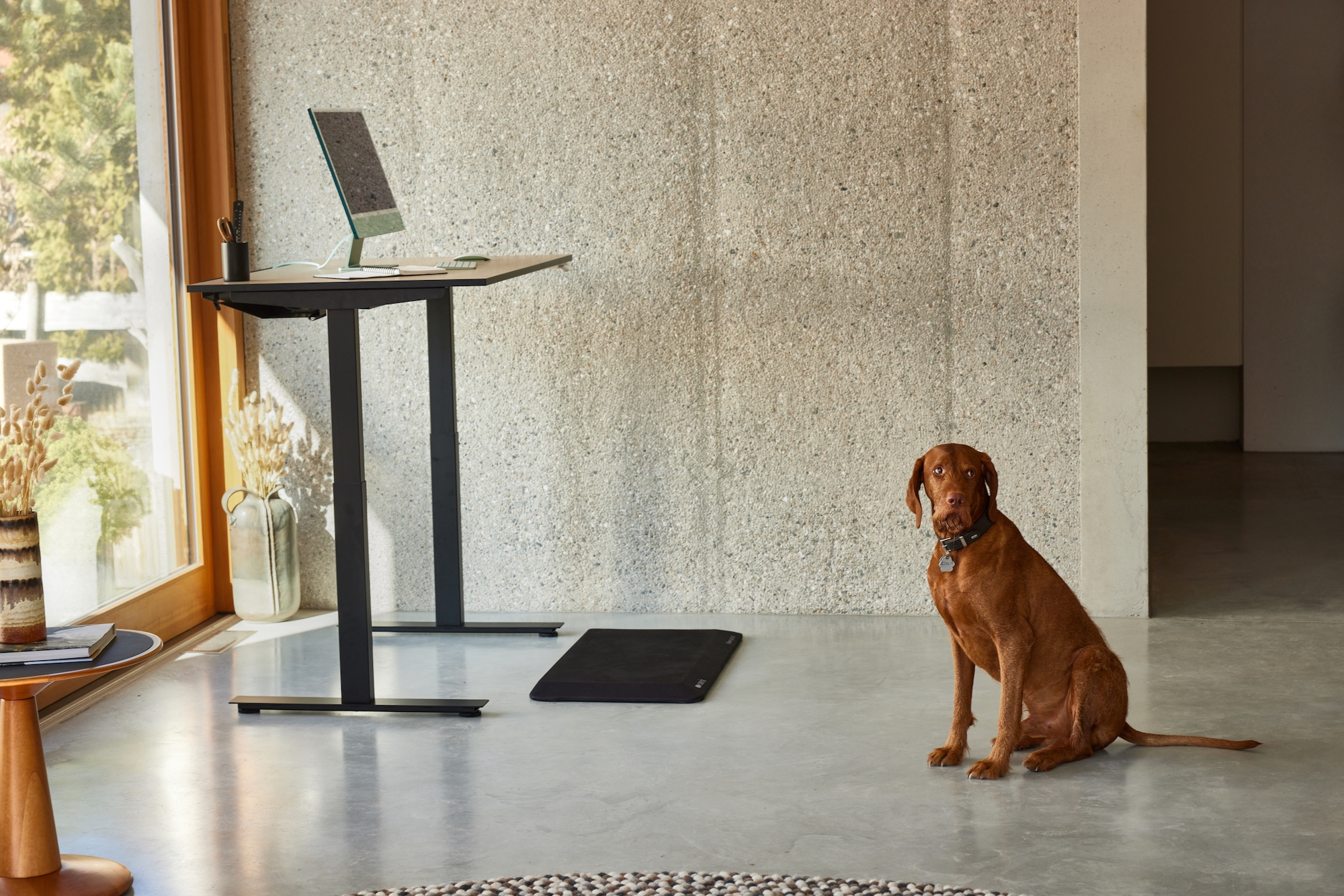 Aeris Muvman standing seat with a height adjustment range of 33 cm combines dynamic sitting and standing (above). Thanks to the intelligent memory function of the Aeris Active Desk, sitting and standing positions can be quickly recalled (below). © Aeris