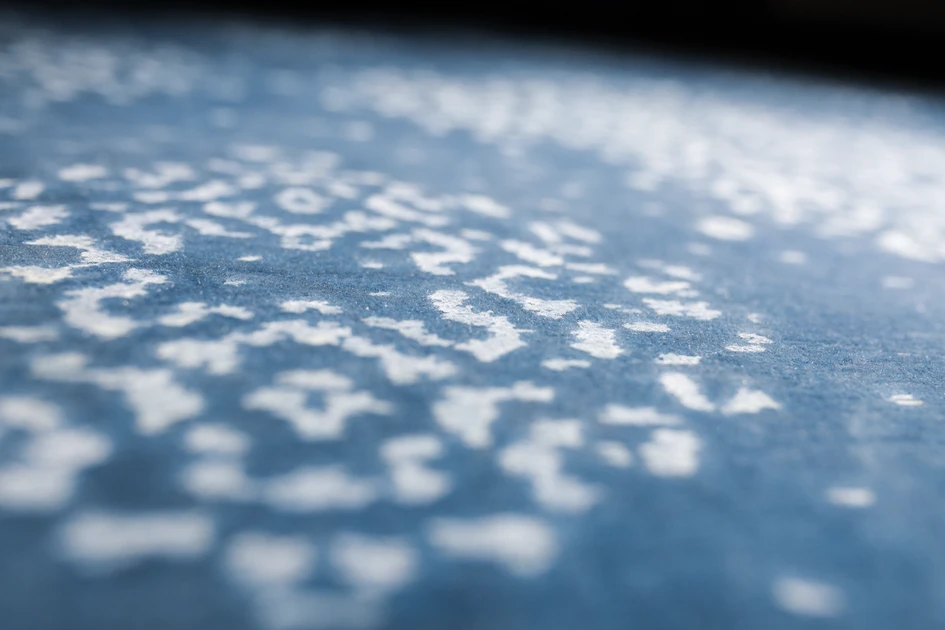 Exemplary beauty: the Ornamental Garden model reinterprets designs from garden architecture, while Illuminate takes a starry approach to the theme of music and puts it centre stage