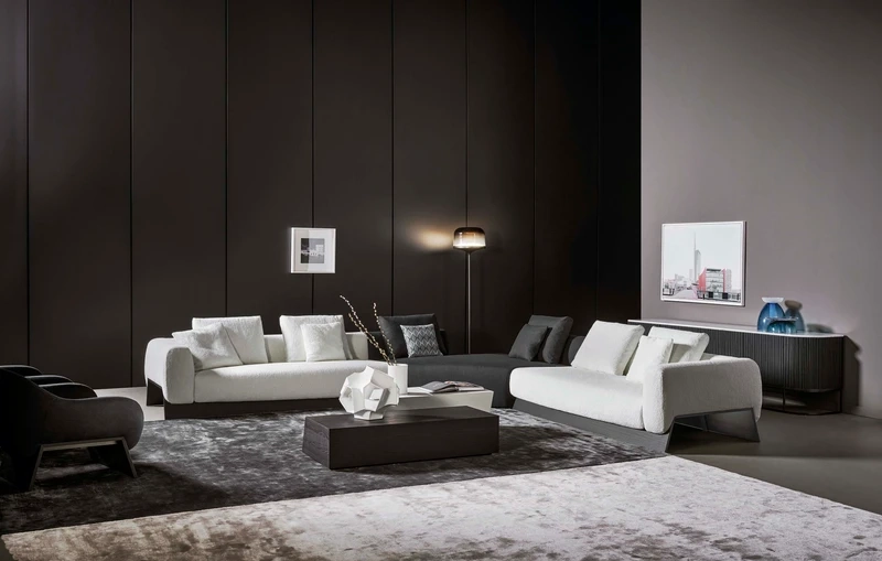 Lire l’histoire The essence and contemporaneity of Bonaldo's style