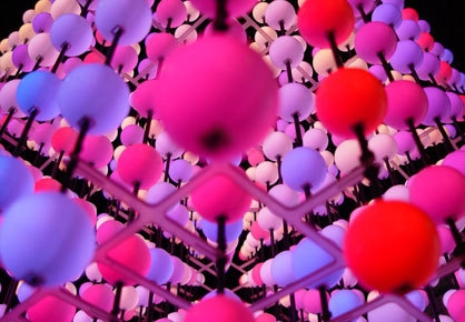 Nova. Photo: CT  Germany