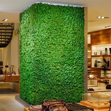 Leggi la storia Herbal Architecture