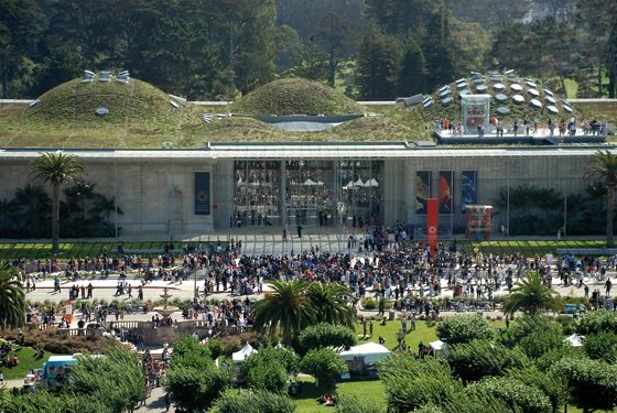 Californian Academy of Sciences, photographer: Ishida Shunji © Rpbw, Renzo Piano Building Workshop