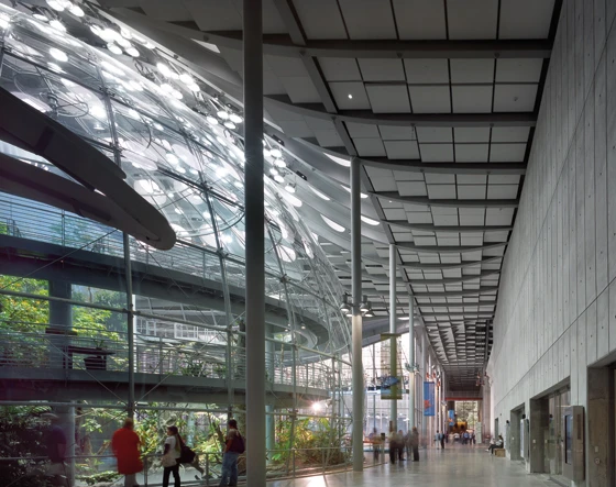 View of the exhibit hall of the Californian Academy of Sciences, view to the West, Photographer: Nic Lehoux © Rpbw, Renzo Piano Building Workshop
