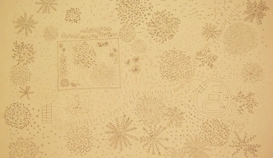 Floor-plan of the greenhouses installation by Junya Ishigami in the Venetian Giardini of 2008 architectural biennale in Venice
