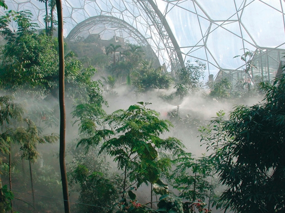 The transparent surface allows plentiful daylight to reach the plants inside the worldʼs largest greenhouse; photo © Grimshaw Architects