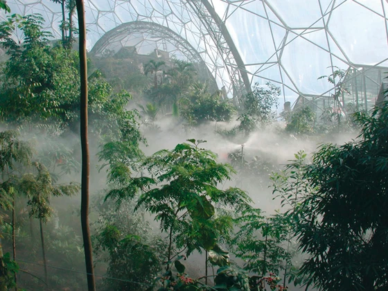 The transparent surface allows plentiful daylight to reach the plants inside the worldʼs largest greenhouse; photo © Grimshaw Architects