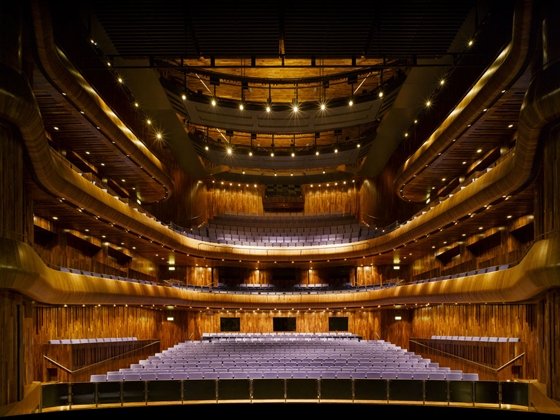 Horseshoe-shaped balconies in the main auditorium bring visitors closer to the action, while encouraging people-watching. The entire space is clad in walnut, a material also used generously in the foyer (above); photos Ros Kavanagh