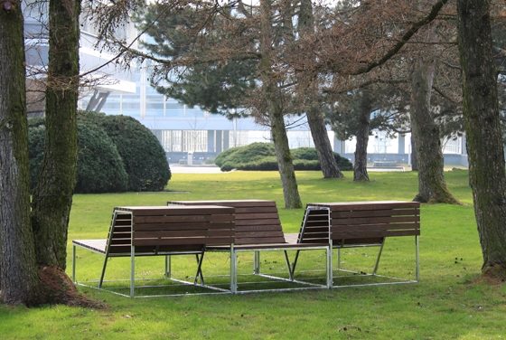 Landscape bench designed by Frederic Dedelley for Burri in Natwood, ETH Campus Science City