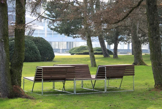Landscape bench designed by Frederic Dedelley for Burri in Natwood, ETH Campus Science City