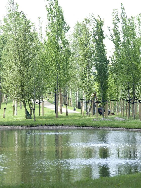 Undulating pathways around the ponds in the wetlands offer different vantage points