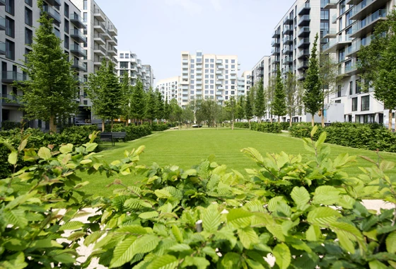 Smaller areas of grass between the buildings provide areas for the residents to relax and play.