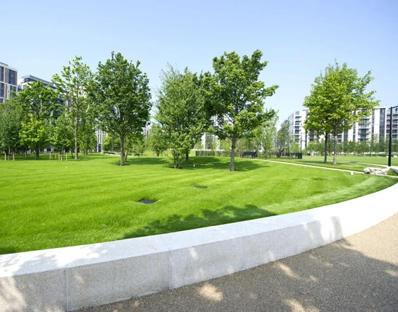 Only indigenous species of trees have been used in the landscaping