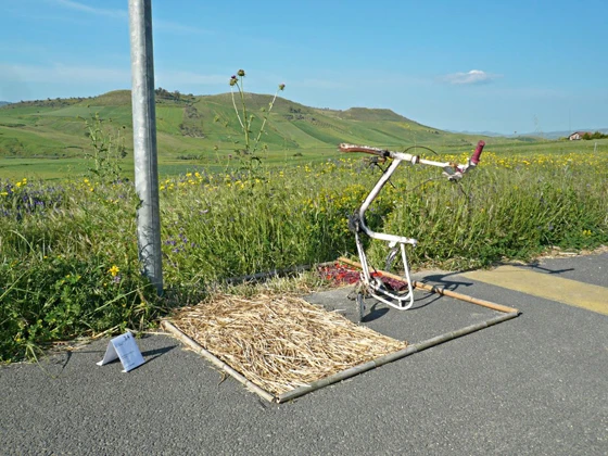 Giovanni Corbellini’s 'PicGarden', created in conjunction with PicNic al Tempio #5 (2009); photo NOWA