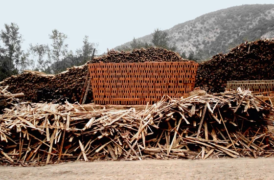 'Artisan Brick Oven Invested' by Diego Parra; courtesy of Diego Parra